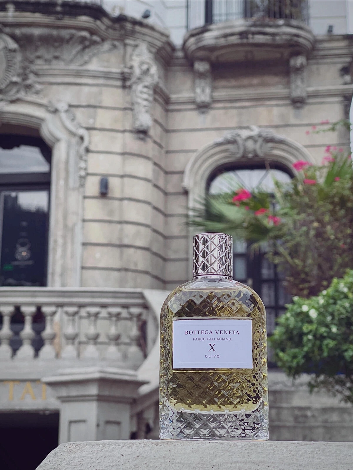 Bottega Veneta Parco Palladiano X: Olive