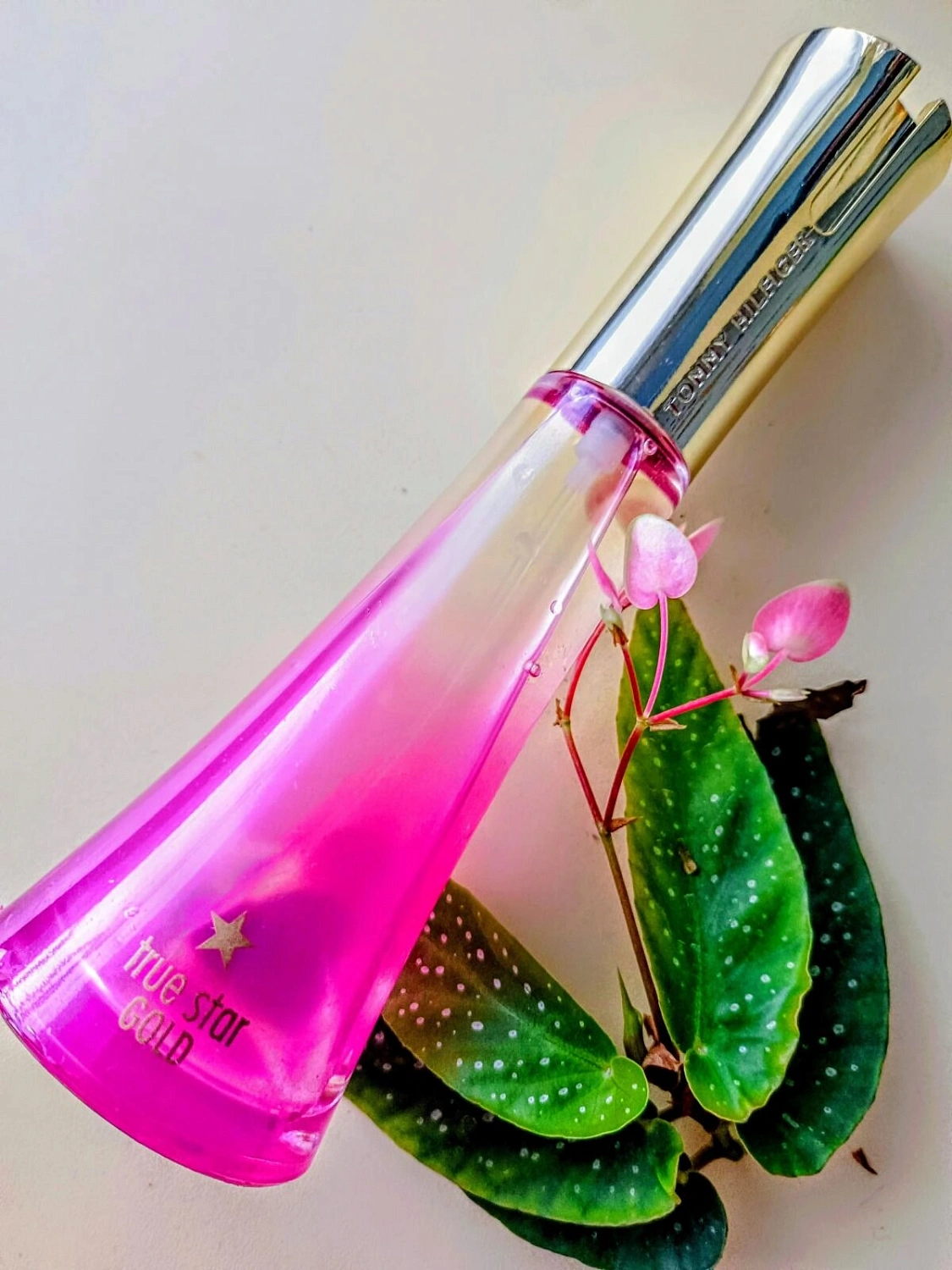 TOMMY HILFIGER True Star Gold