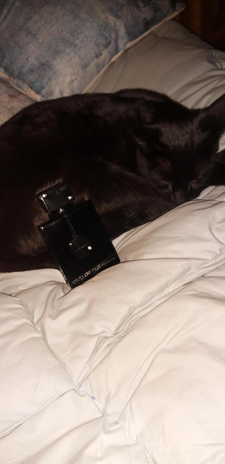 Armaf Club de Nuit Intense