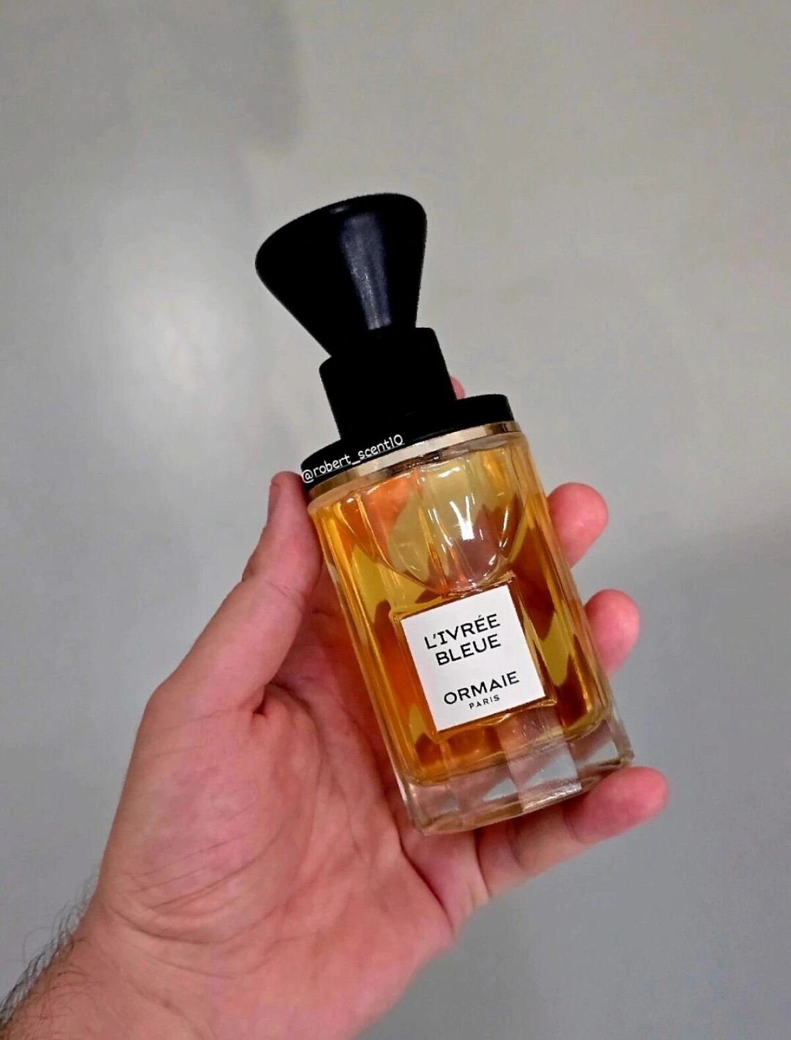 Ormaie L'ivree Bleue