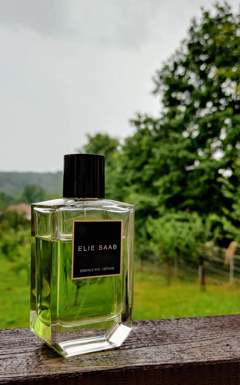 Elie Saab Essence No. 6 Vetiver Elie Saab Essence No. 6 Vetiver