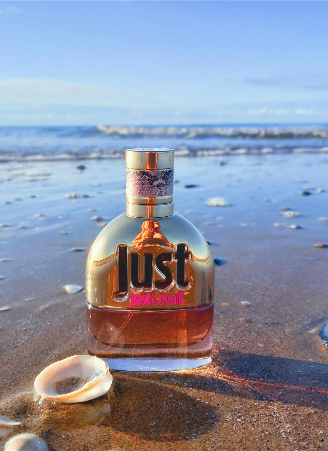 Roberto Cavalli Just Cavalli 2013