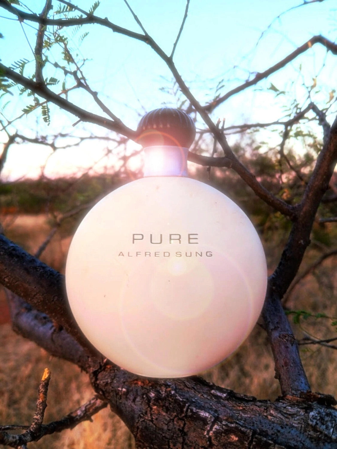 Alfred Sung Pure Alfred Sung Pure