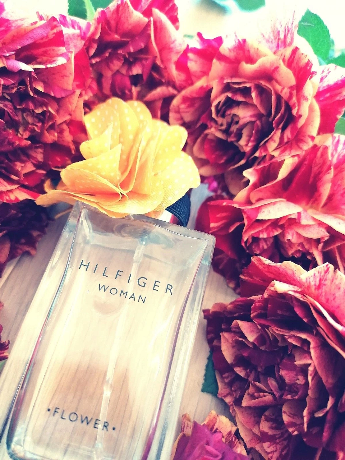 TOMMY HILFIGER Flower Marigold TOMMY HILFIGER Flower Marigold
