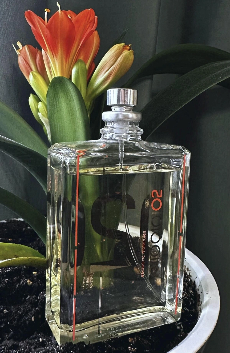 Escentric Molecules Molecule 02