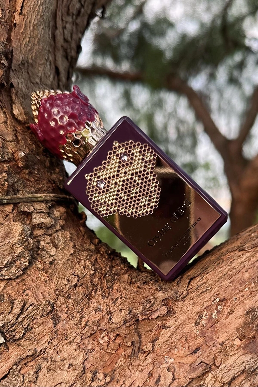 Stephane Humbert Lucas 777 Crying of Evil