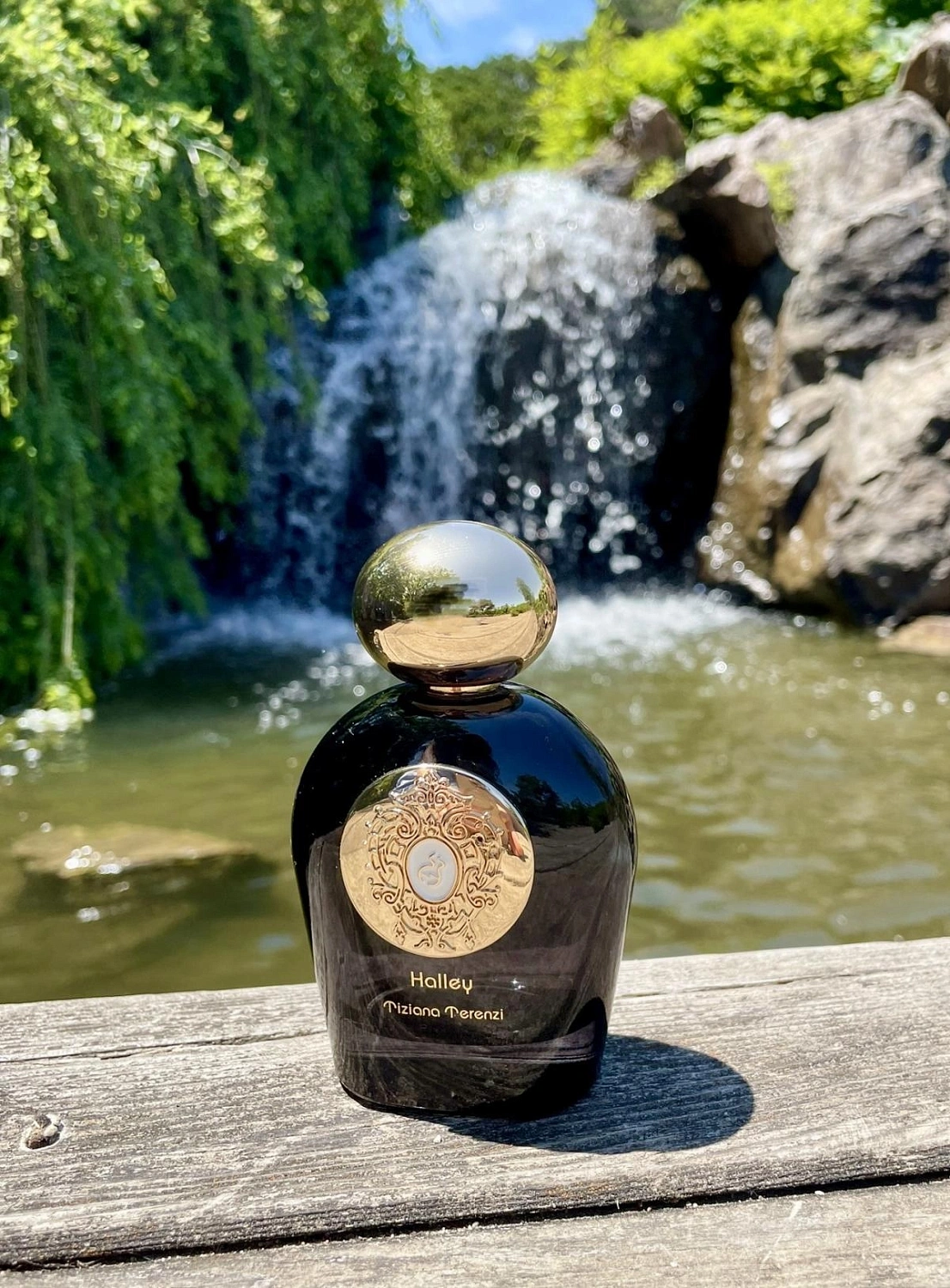 Tiziana Terenzi Halley