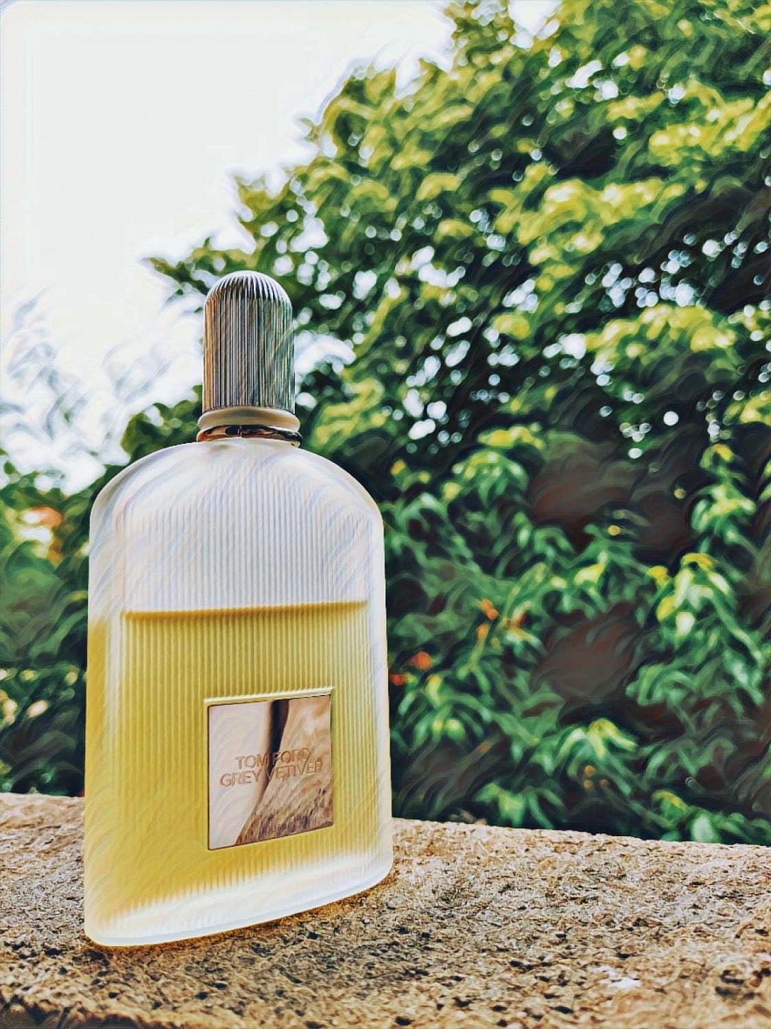 Tom Ford Grey Vetiver
