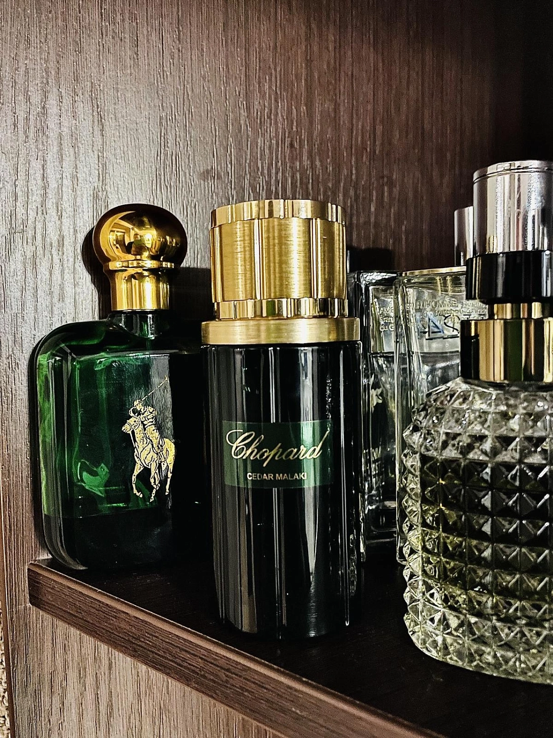 Chopard Cedar Malaki Chopard Cedar Malaki