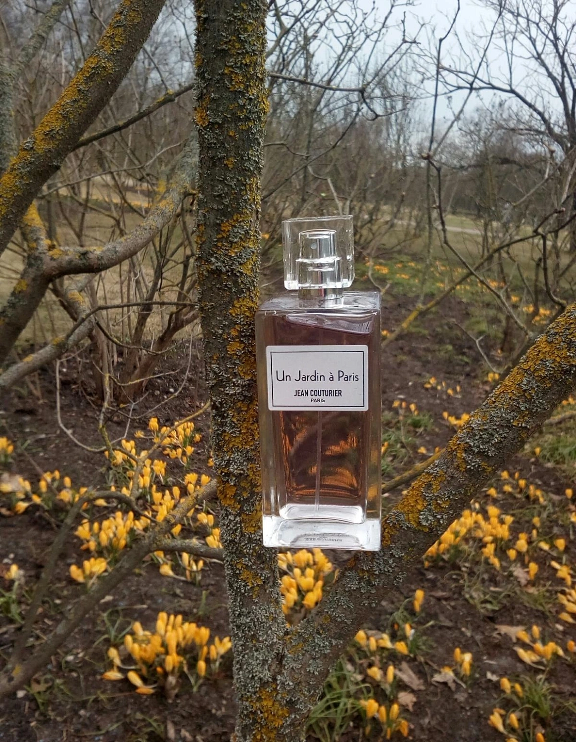 Jean Couturier Un Jardin a Paris