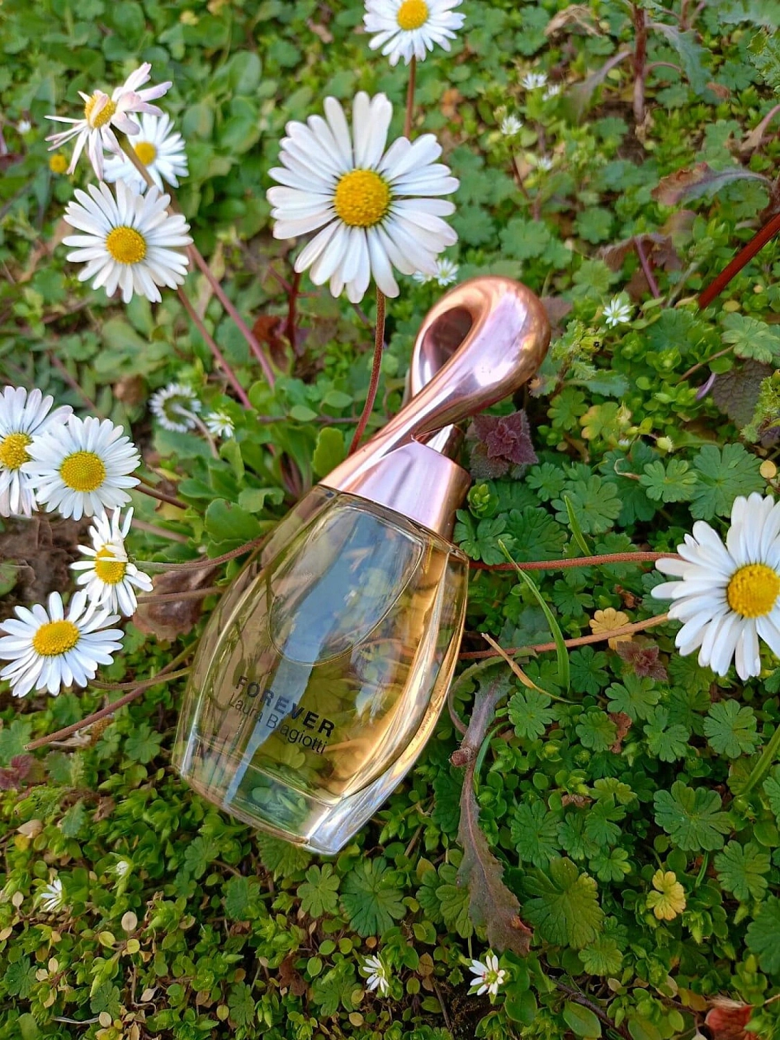 Laura Biagiotti Forever