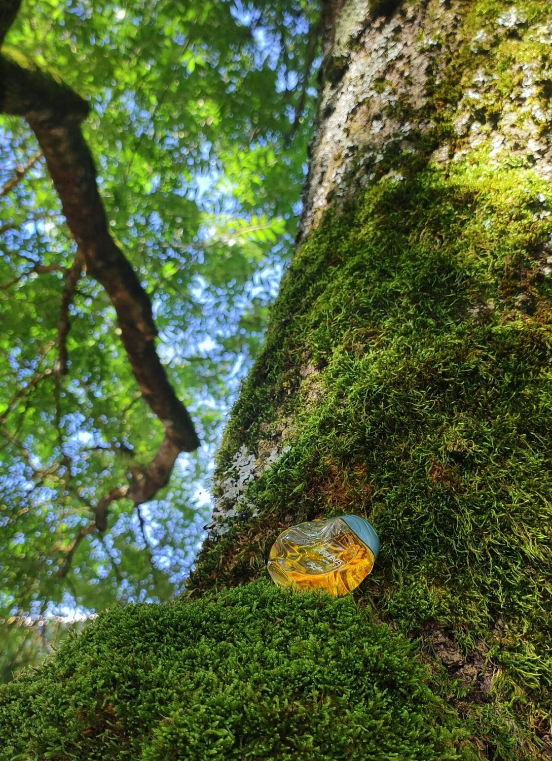 Revillon Turbulences