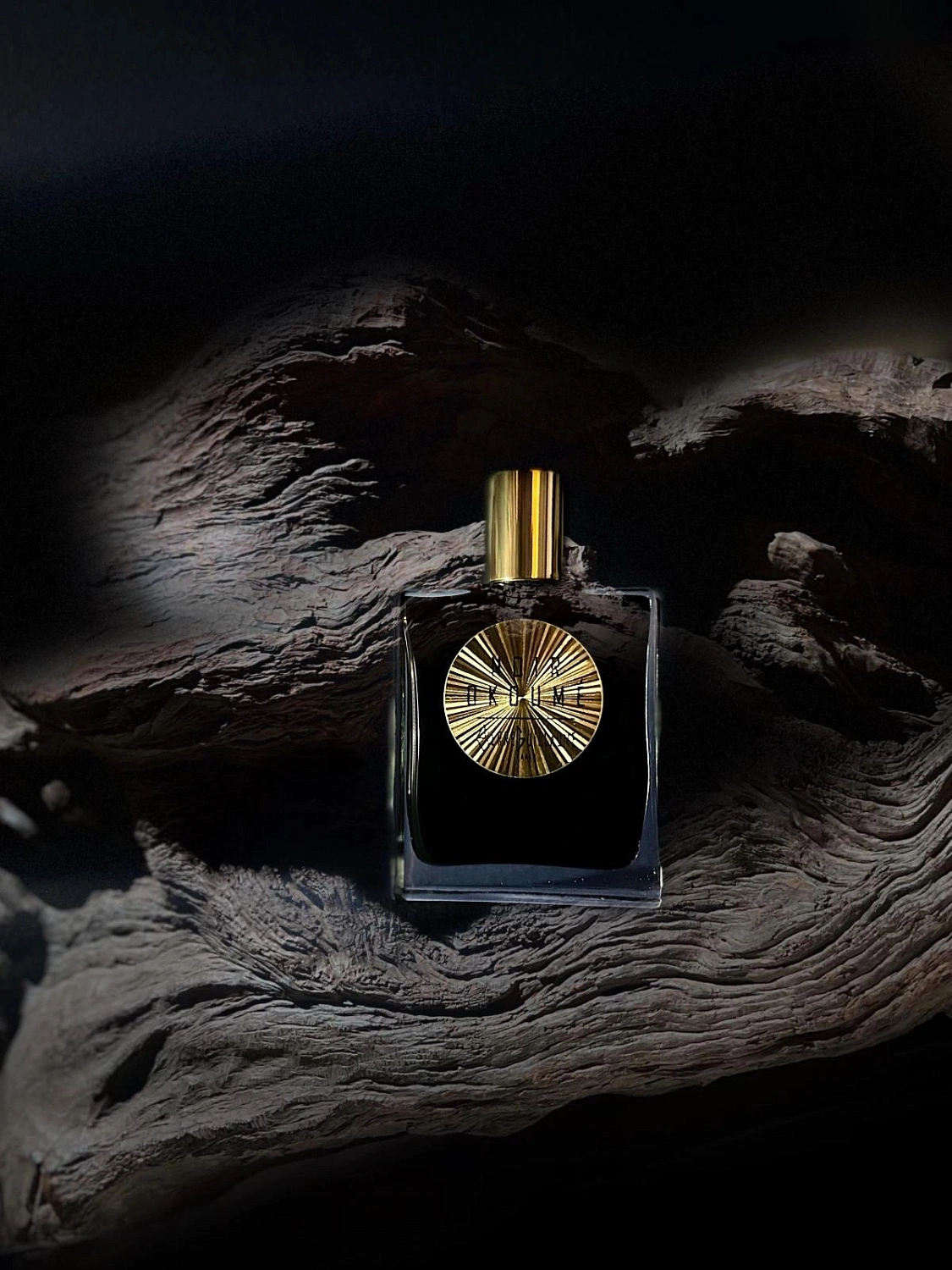 Pierre Guillaume Noir Okoume