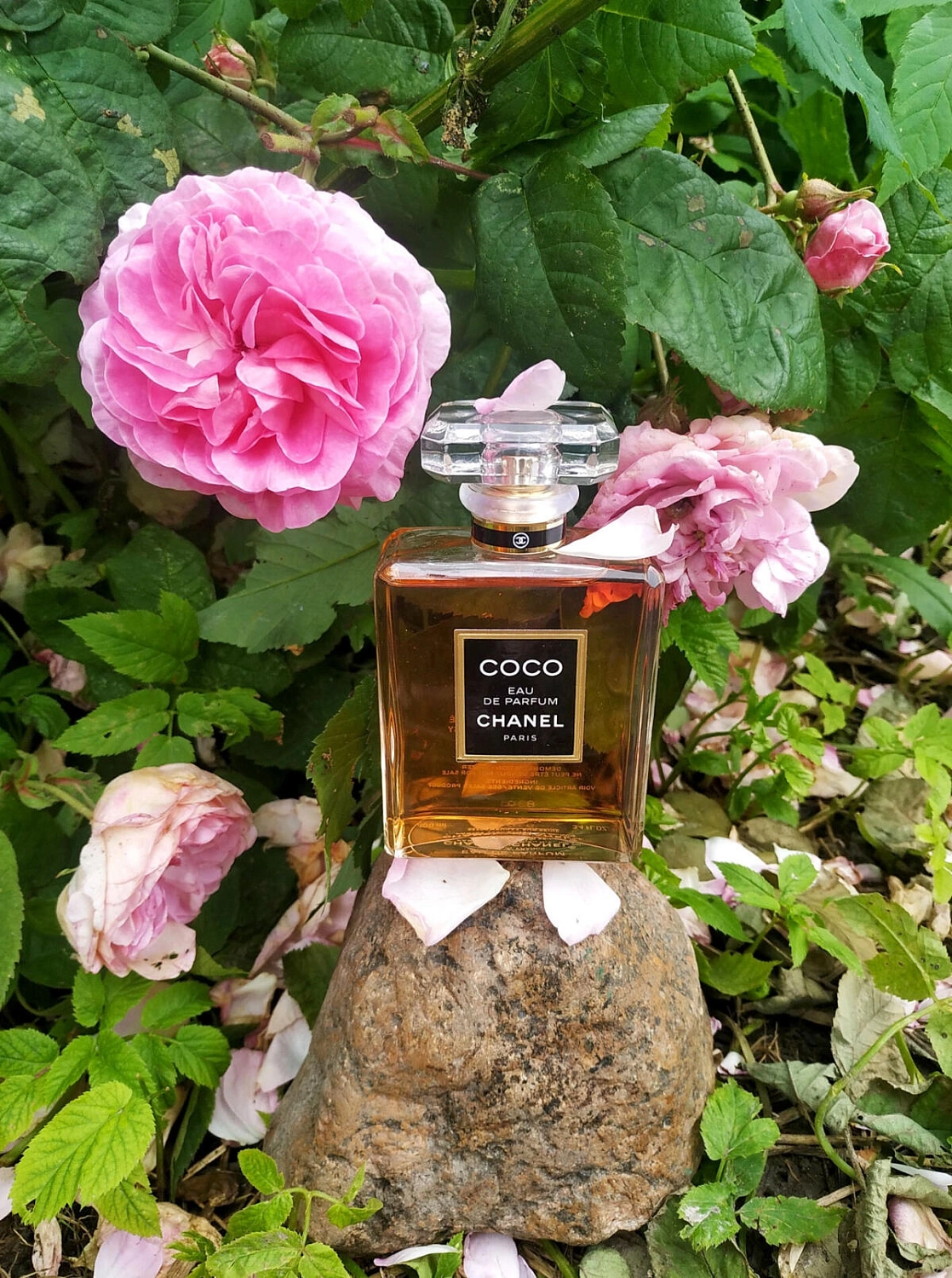 Chanel Coco Chanel Coco