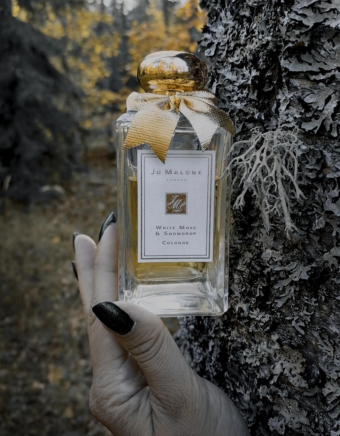 Jo Malone White Moss & Snowdrop
