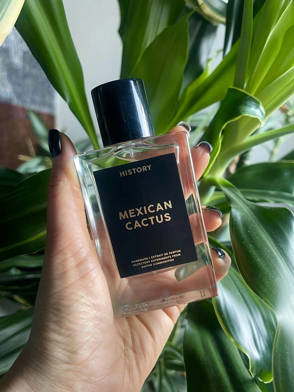 History Parfums Mexican Cactus History Parfums Mexican Cactus