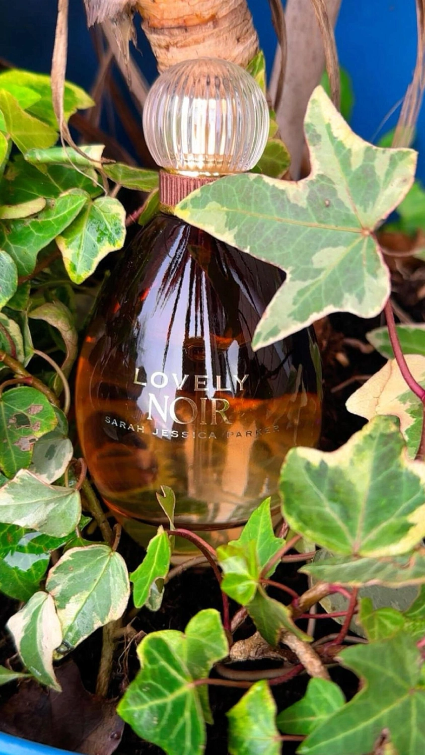 Sarah Jessica Parker Lovely Noir