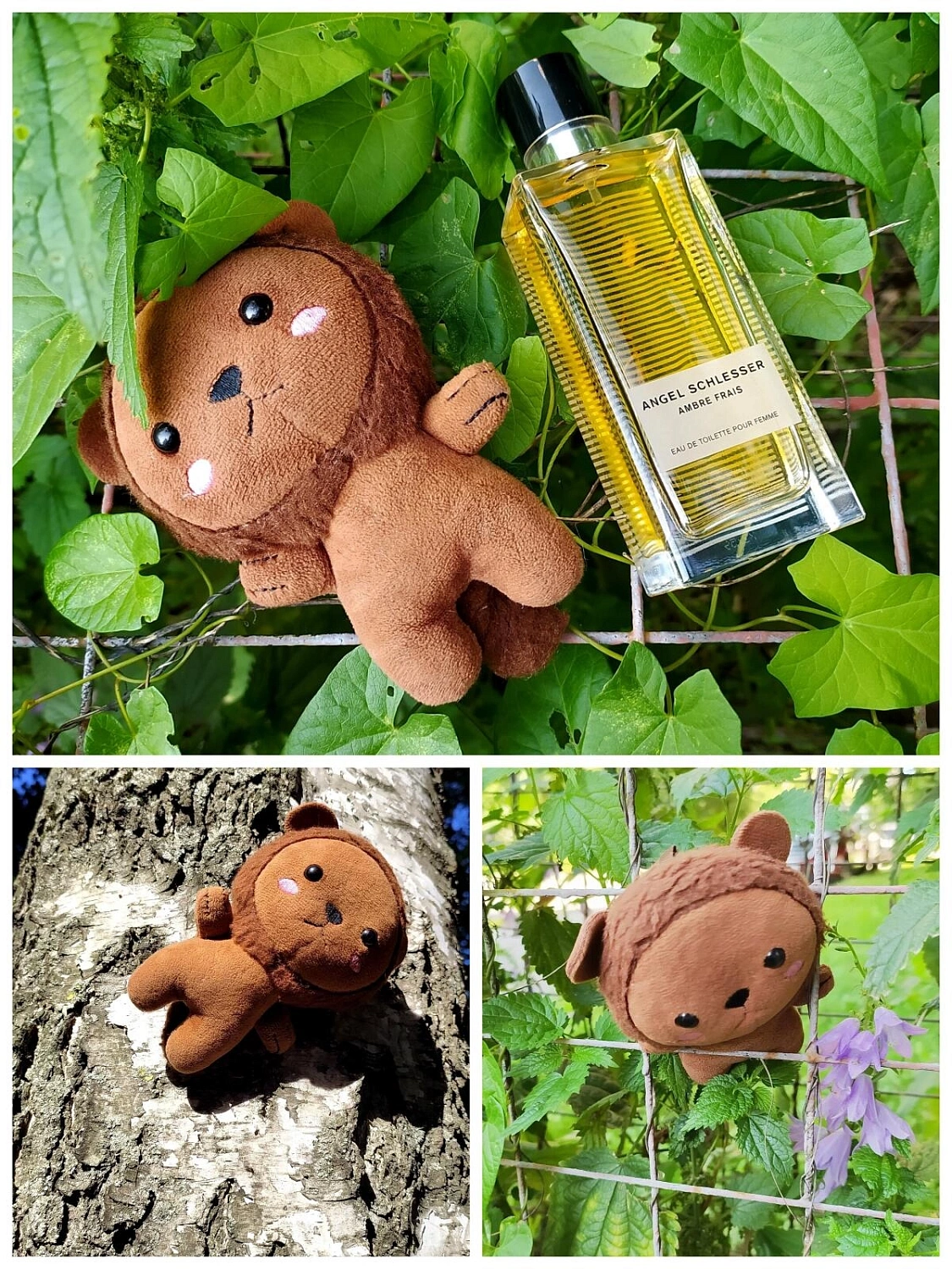 Angel Schlesser Ambre Frais Angel Schlesser Ambre Frais