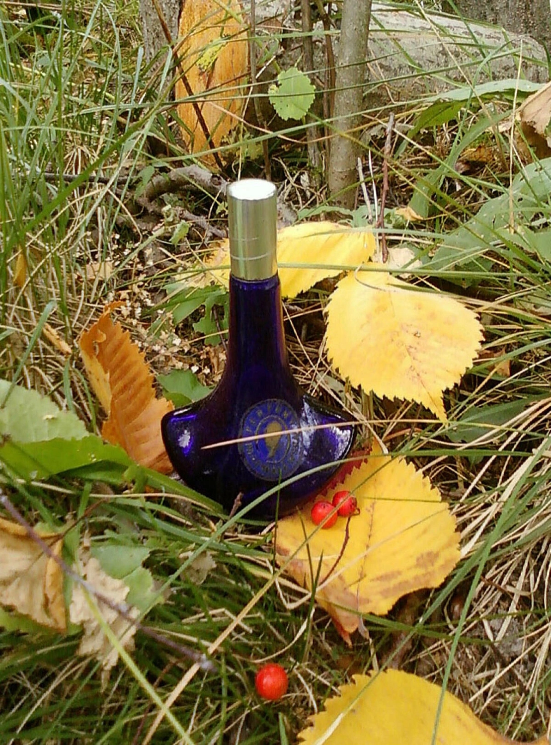 Pani Walewska Classic