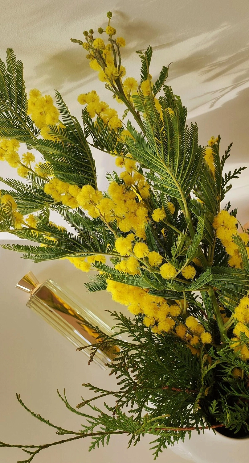 Jean-Louis Scherrer One Love