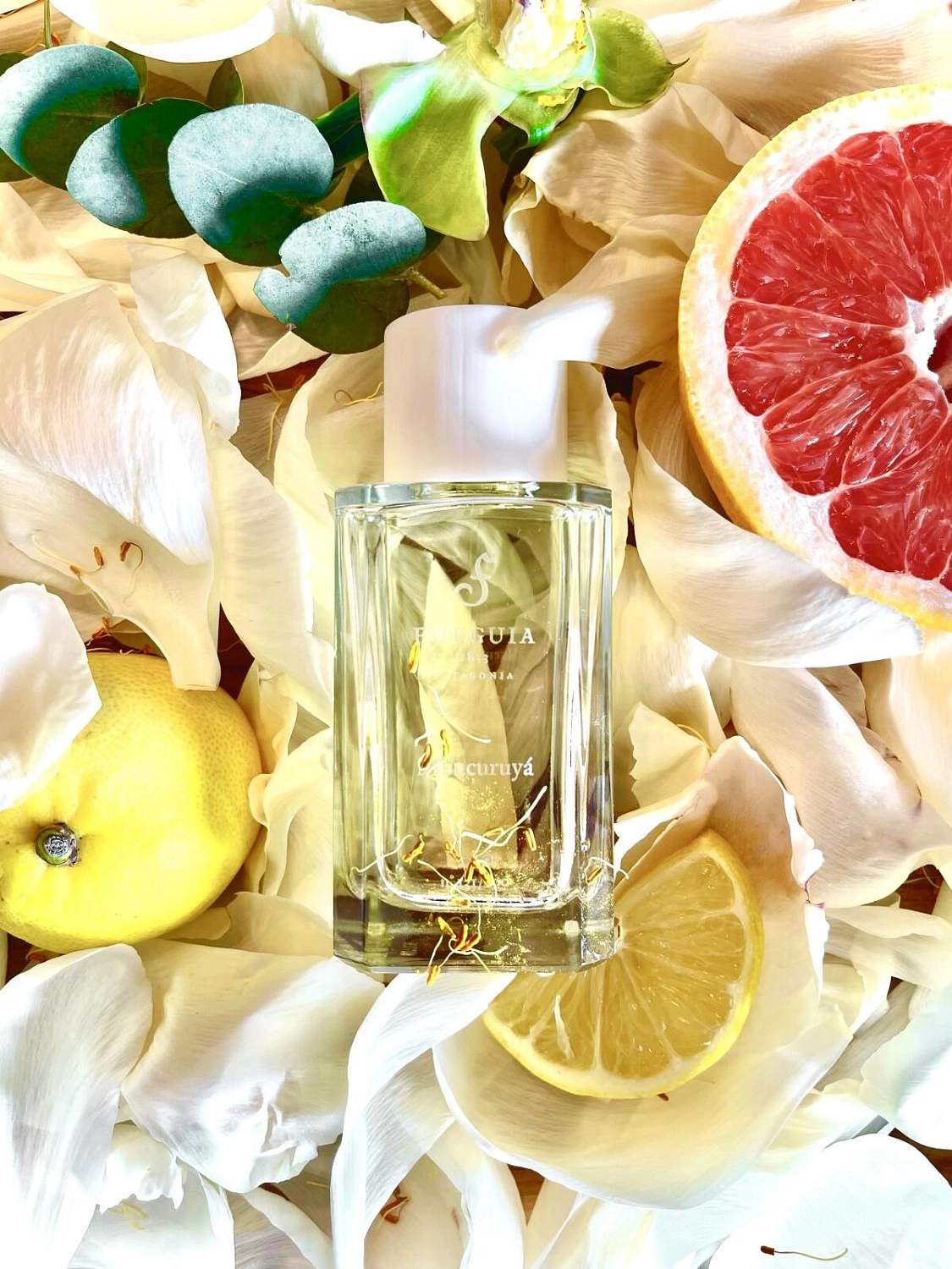 Fueguia 1833 Mbucuruya