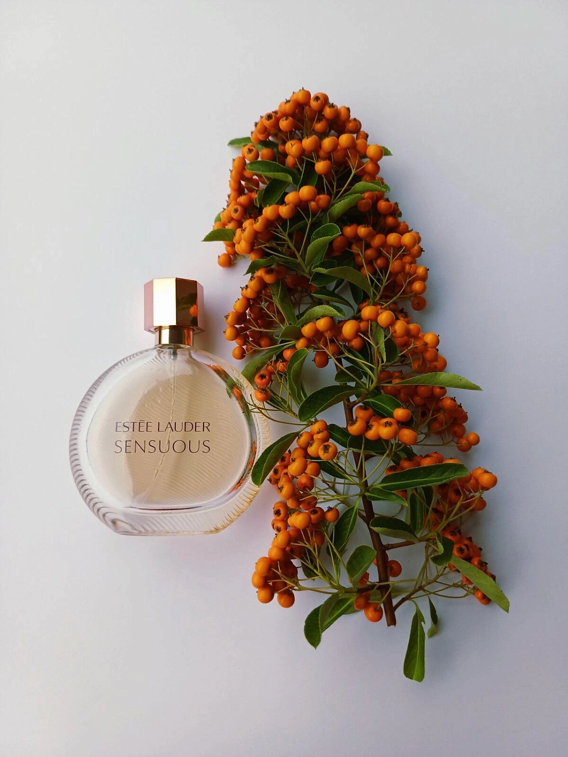 Estee Lauder Sensuous