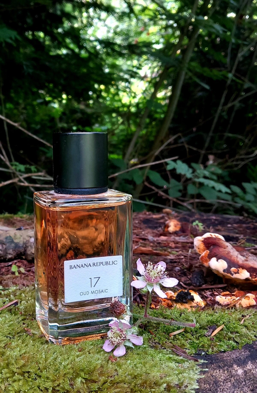 Banana Republic 17 Oud Mosaic