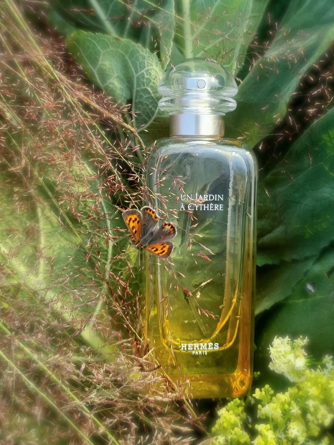 Hermès Un Jardin a Cythere