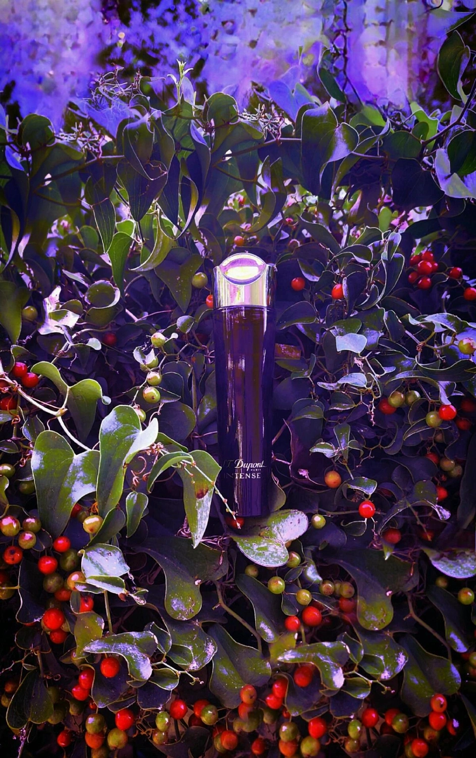 S.T.Dupont Intense Pour Femme