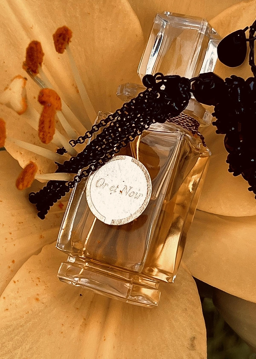 Caron Or Et Noir Privee Collection Caron Or Et Noir Privee Collection