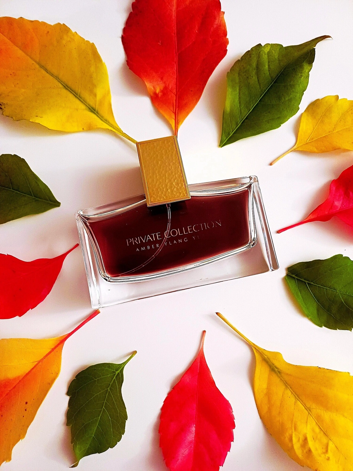 Estée Lauder Private Collection Amber Ylang Ylang