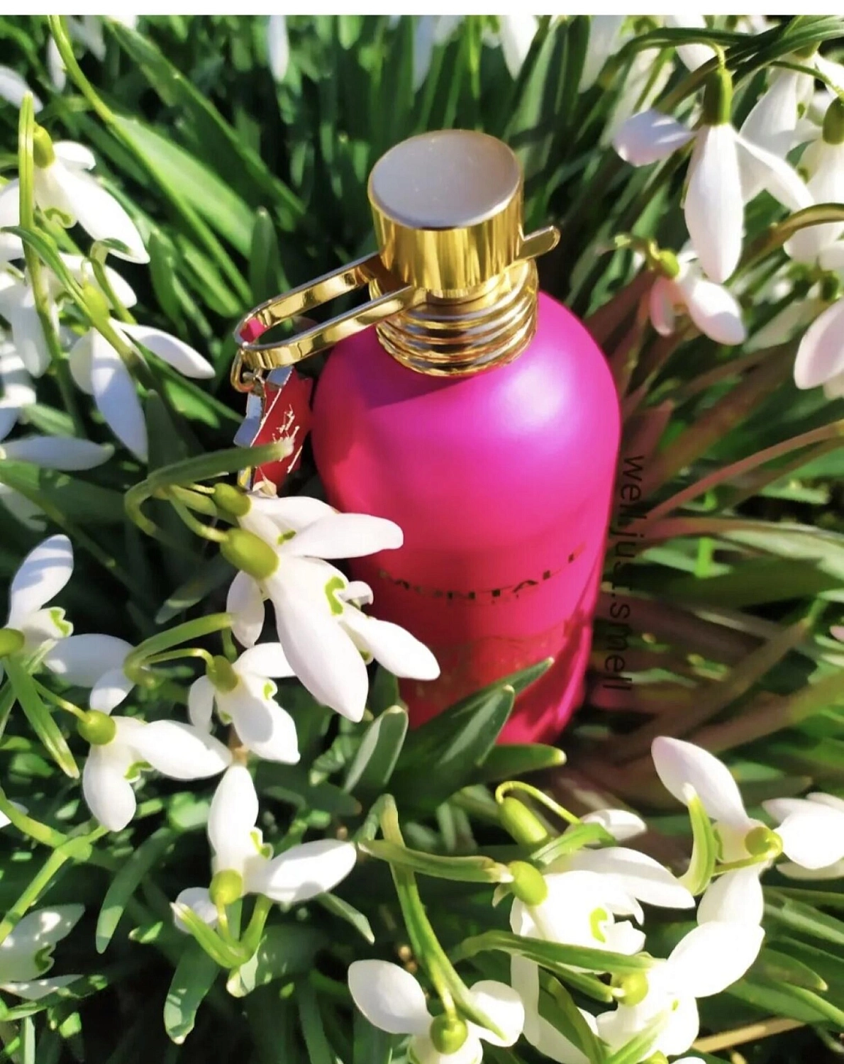 Montale Crazy In Love