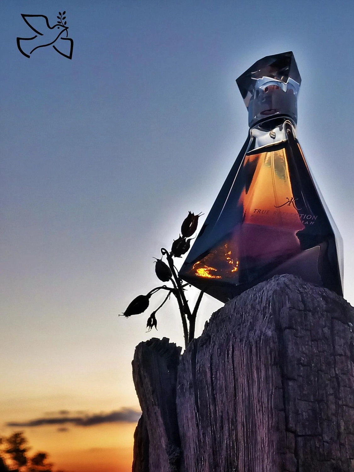 Kim Kardashian True Reflection