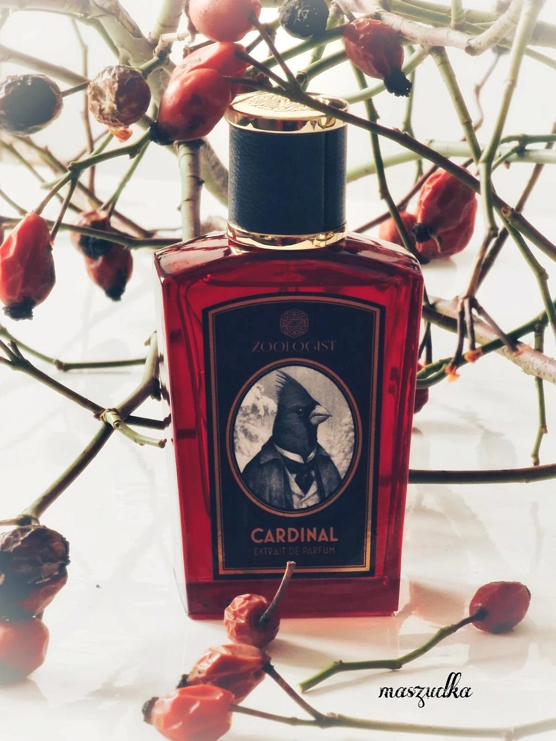 Zoologist Perfumes Northern Cardinal