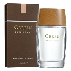 Cereus No.4