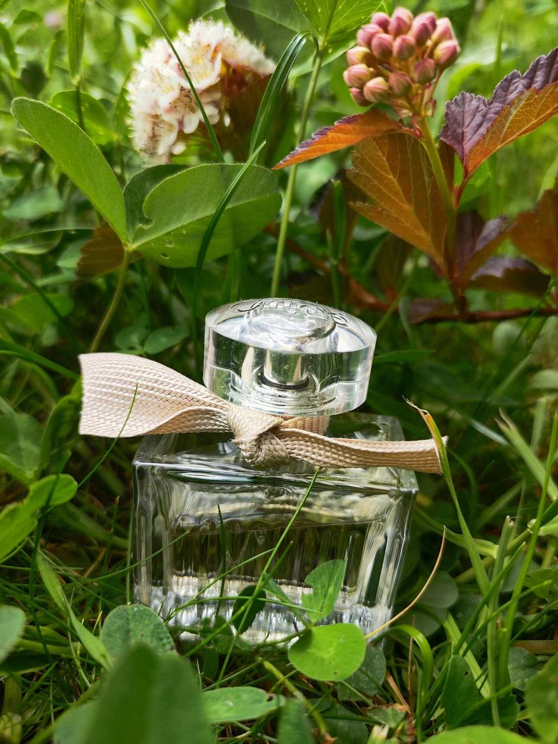 Chloé Eau De Parfum