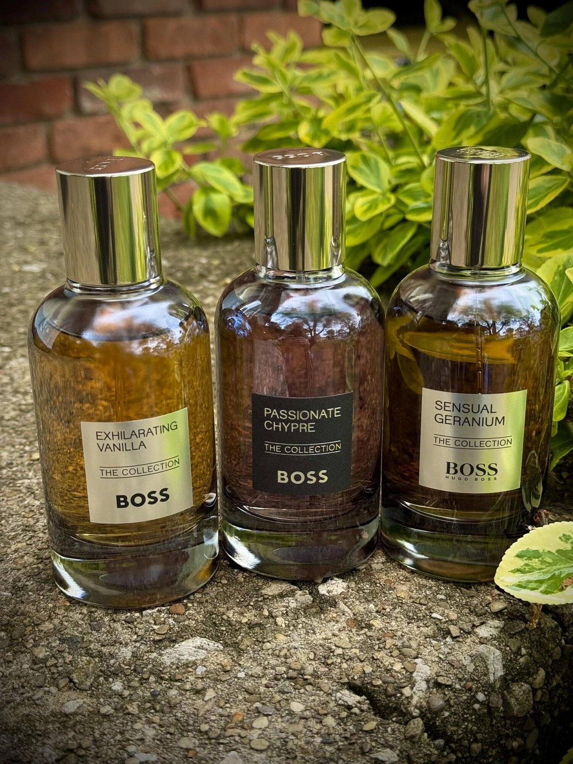 Hugo Boss Exhilarating Vanilla