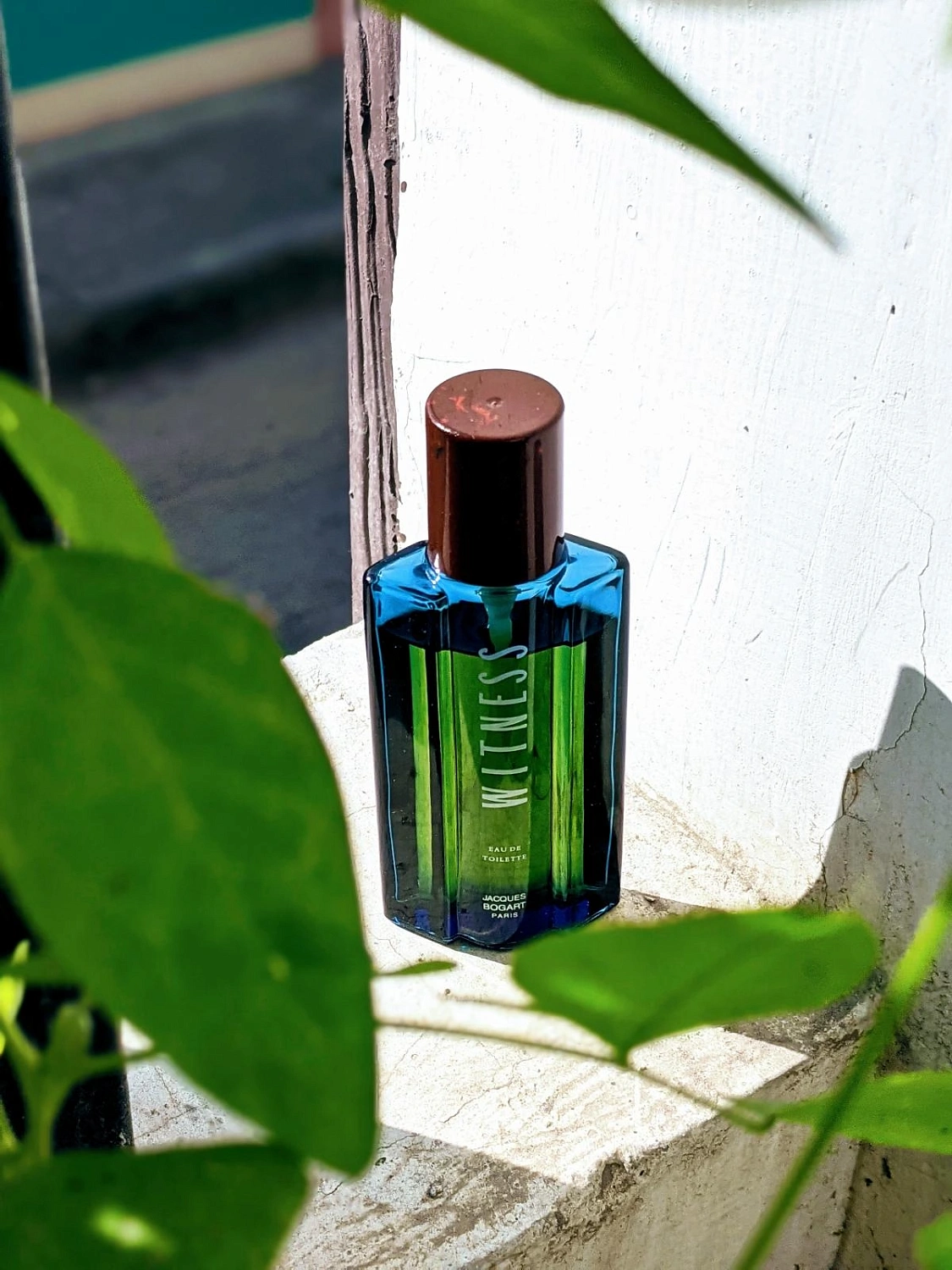 Jacques Bogart Witness