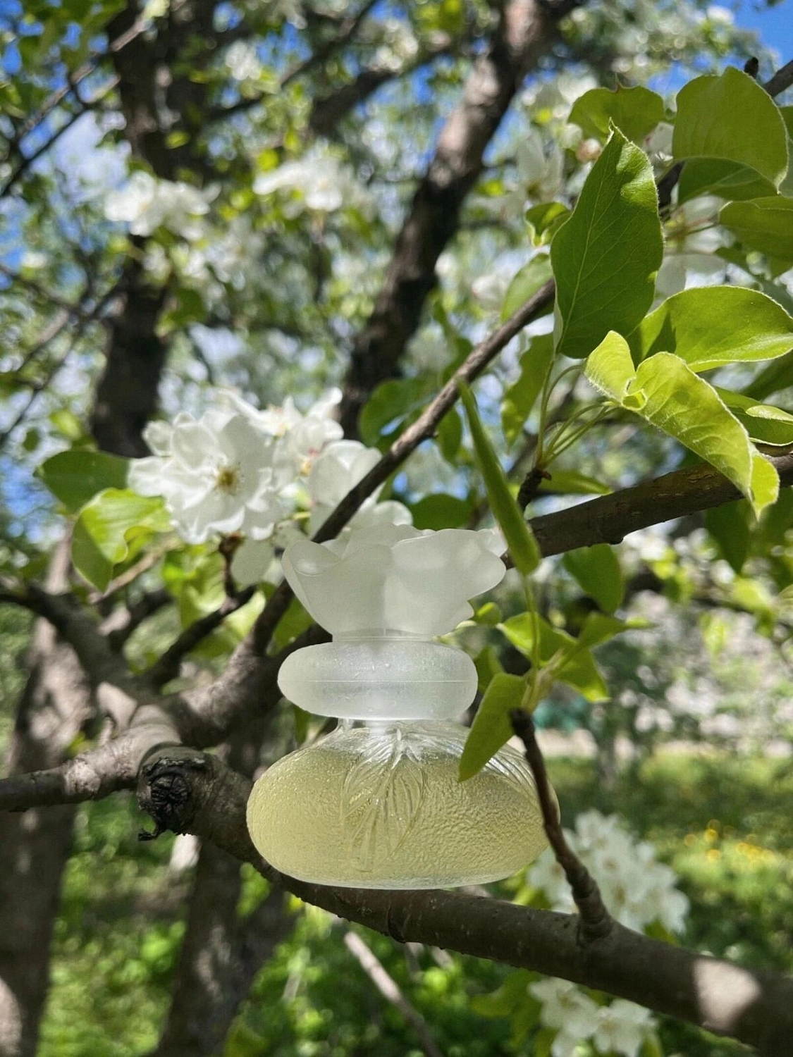 KENZO Le Monde Est Beau