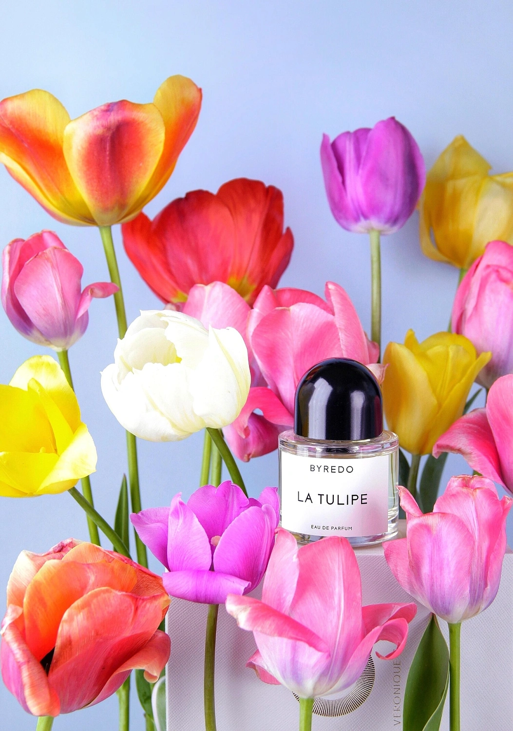 BYREDO La Tulipe
