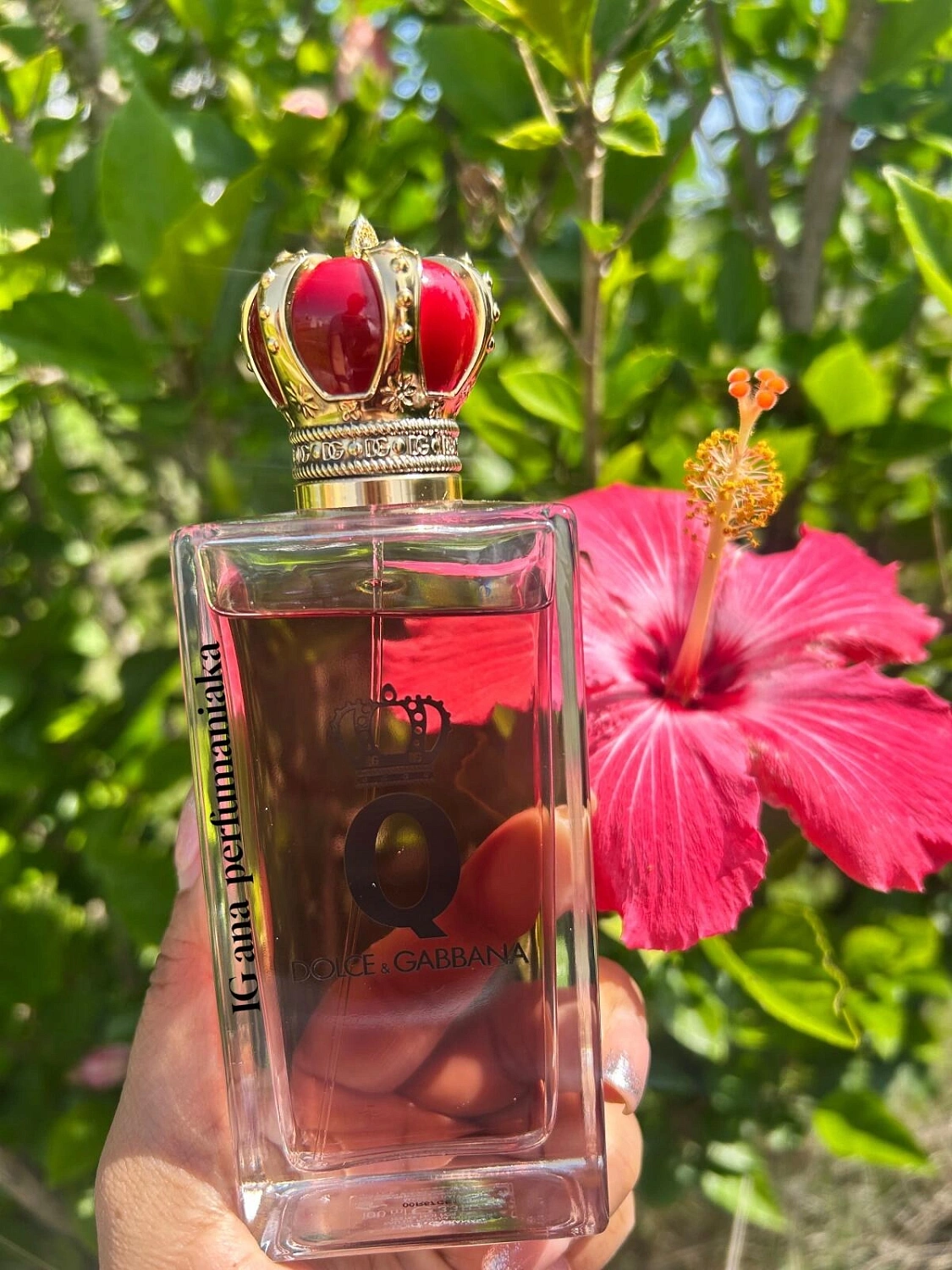 Q by Dolce & Gabbana Eau de Parfum Intense