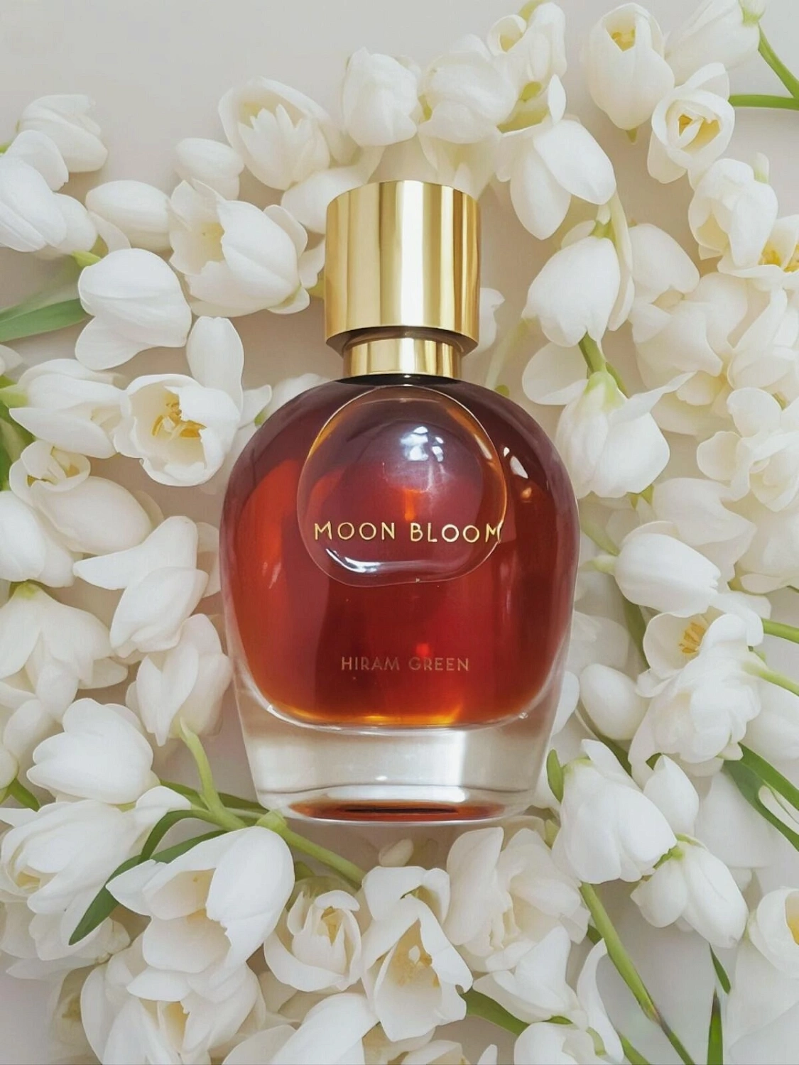 Hiram Green Moon Bloom