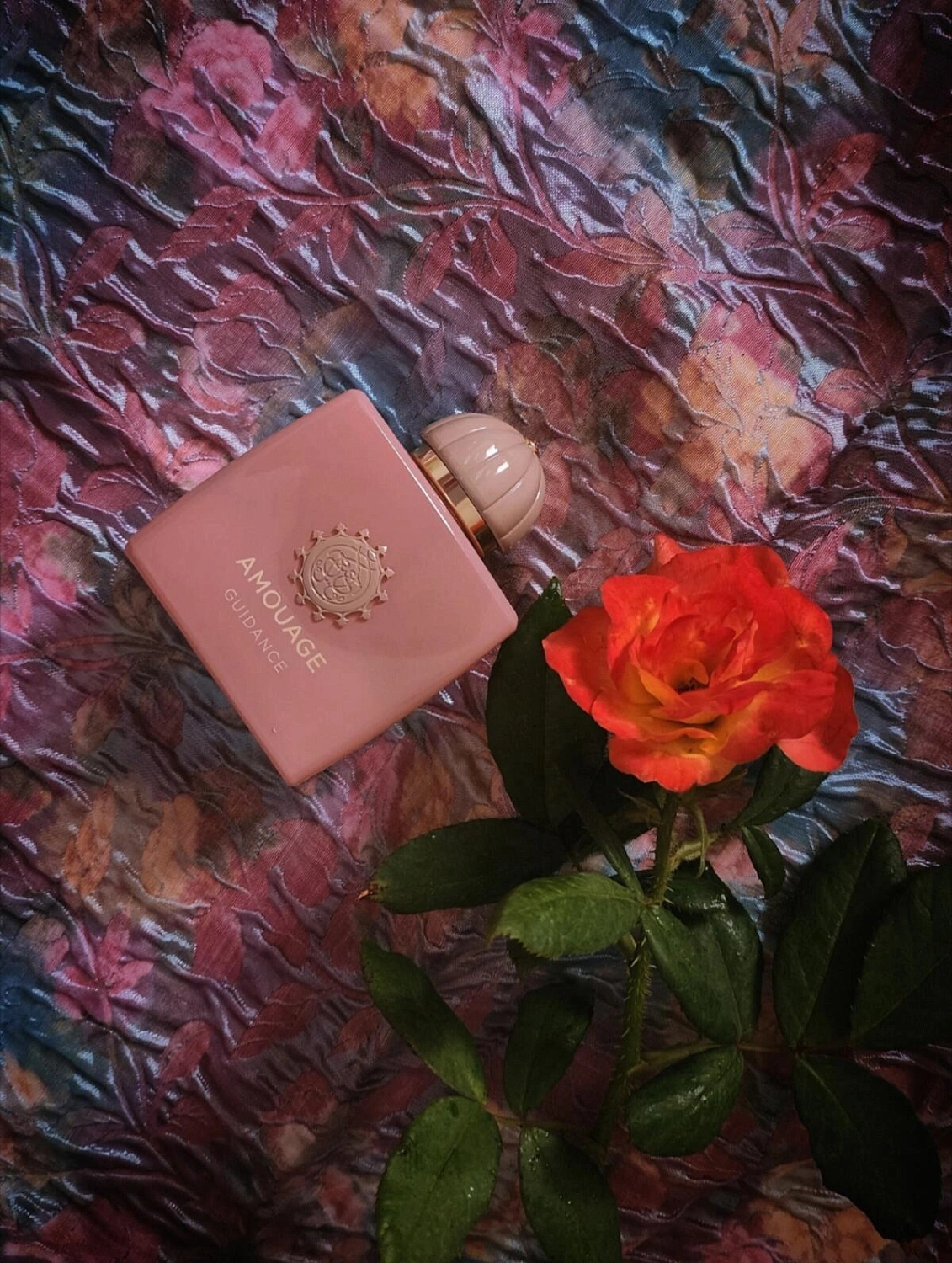 Amouage Guidance