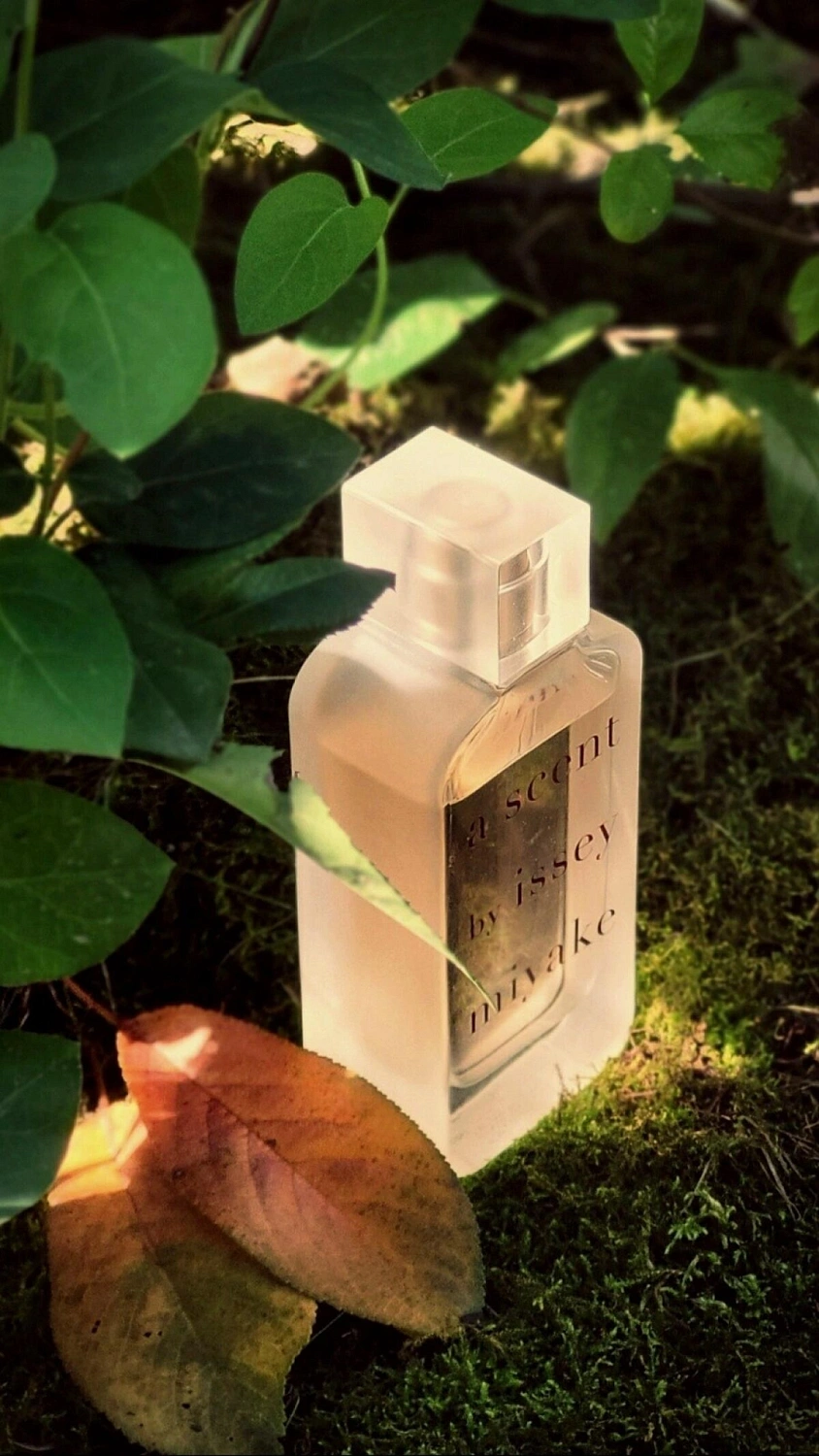 Issey Miyake A Scent Eau de Parfum Florale Issey Miyake A Scent Eau de Parfum Florale
