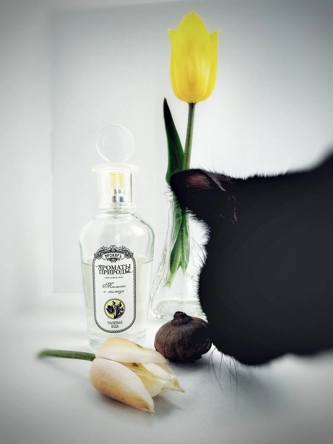 Brocard Тюльпан и Мимоза