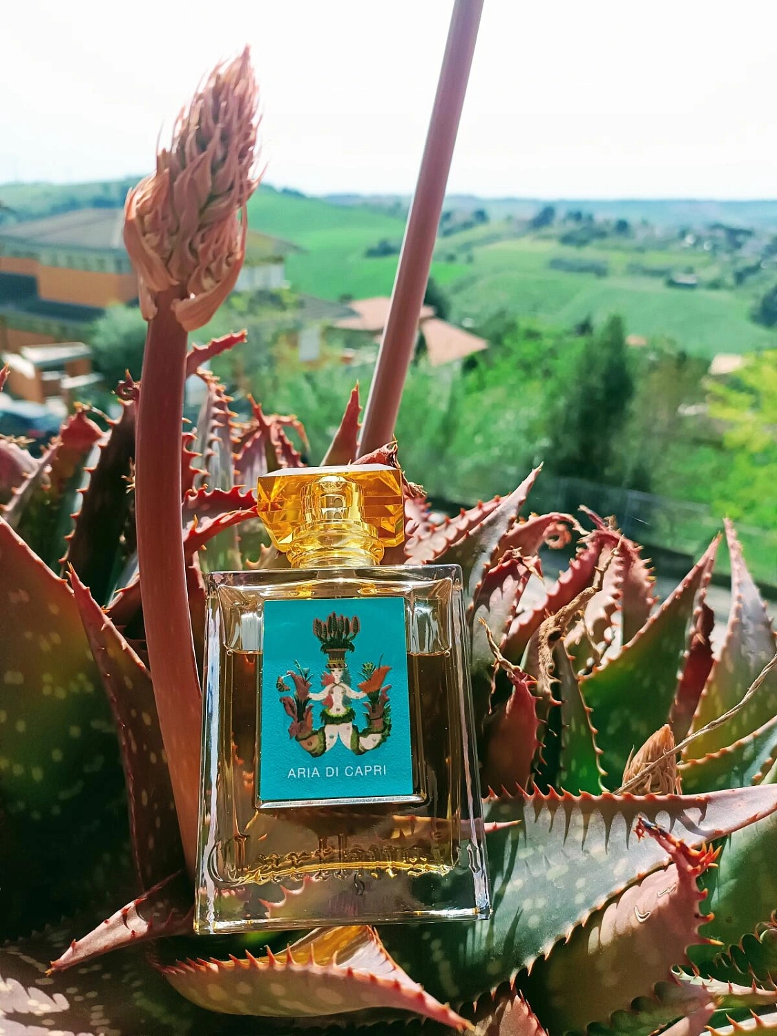 Carthusia Aria di Capri
