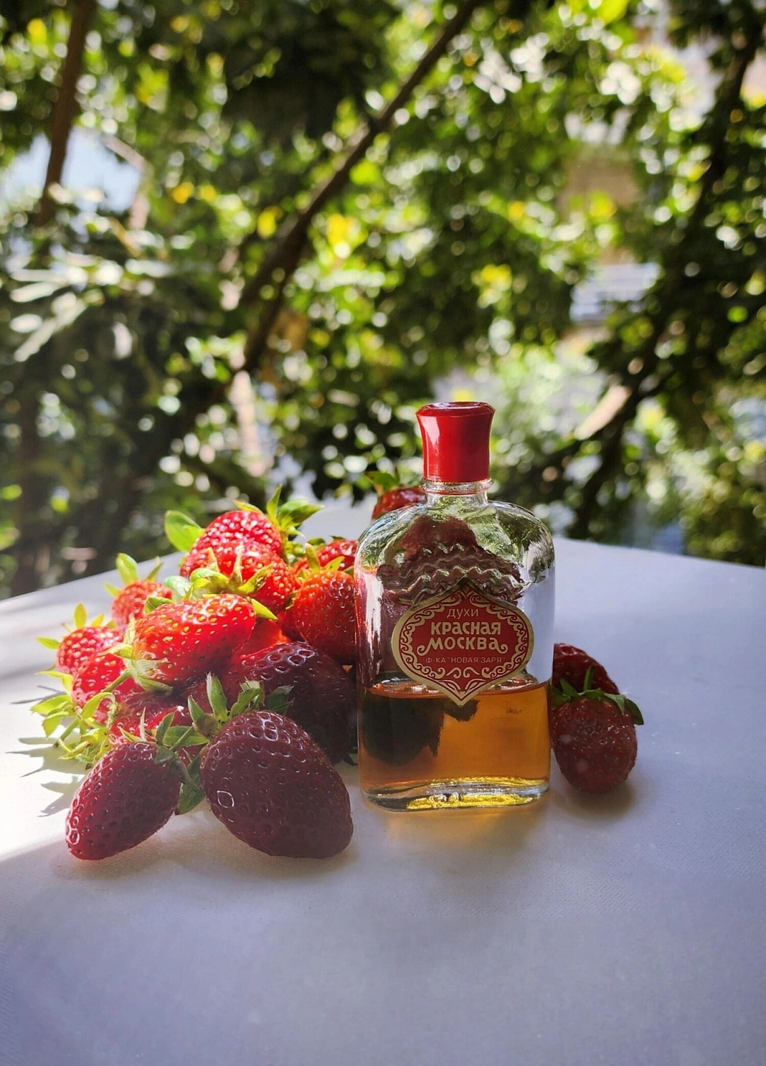 Novaya Zarya (Новая Заря) Красная Москва