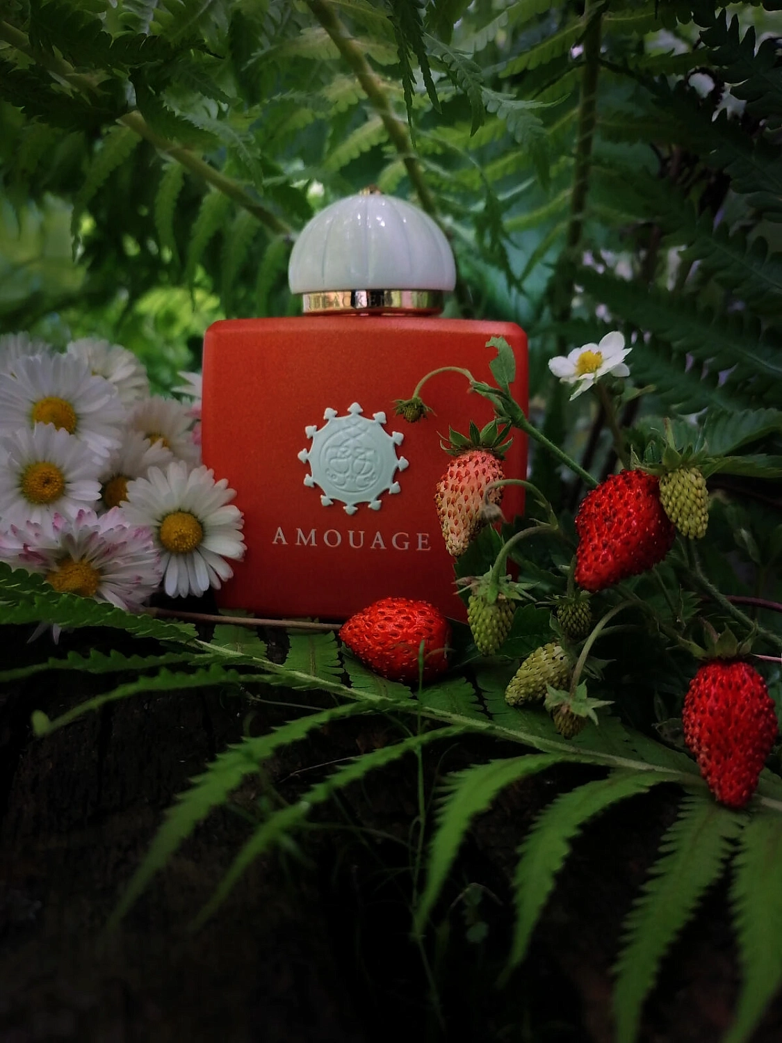 Amouage Bracken Woman Amouage Bracken Woman