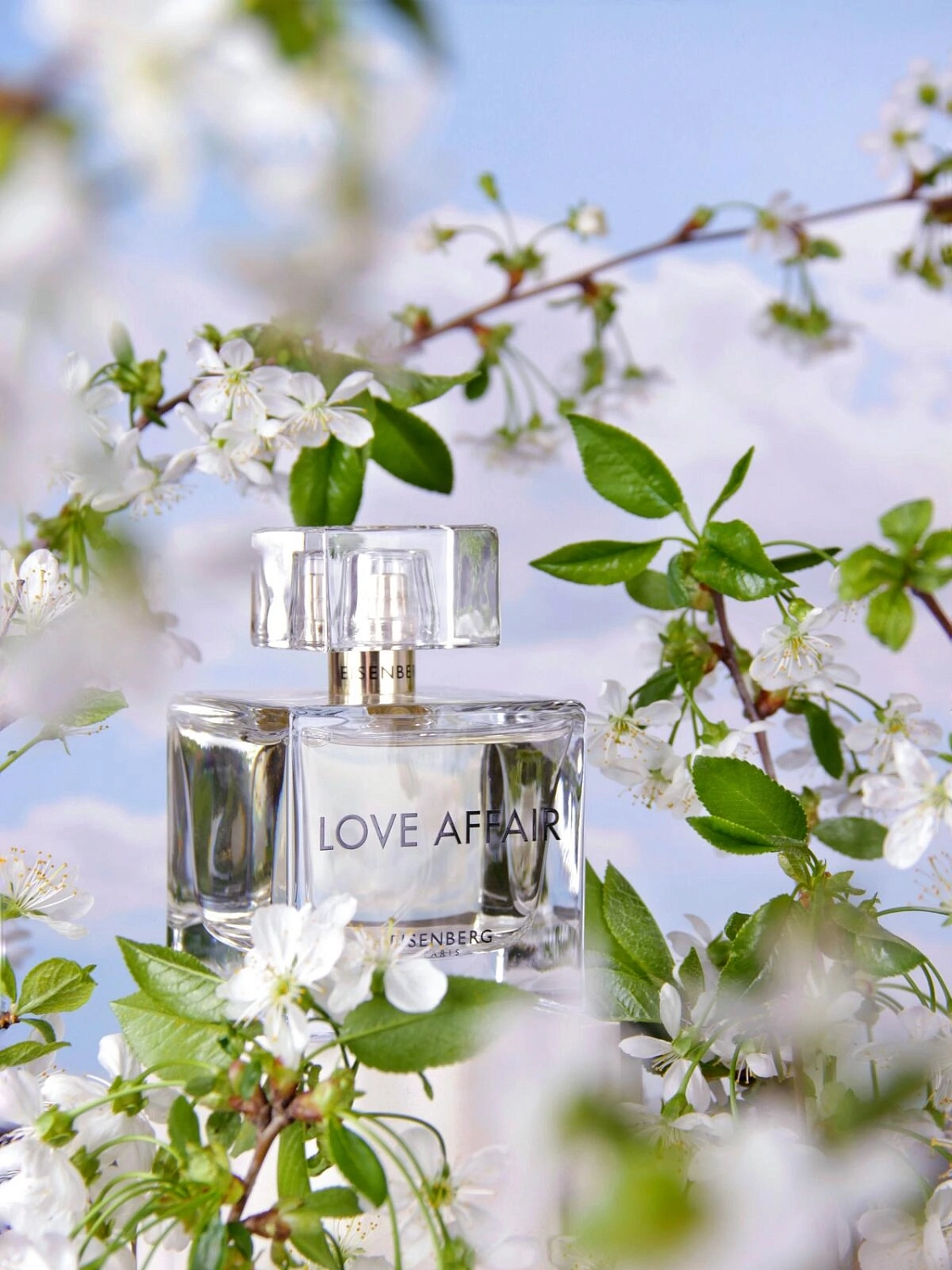 Eisenberg Love Affair