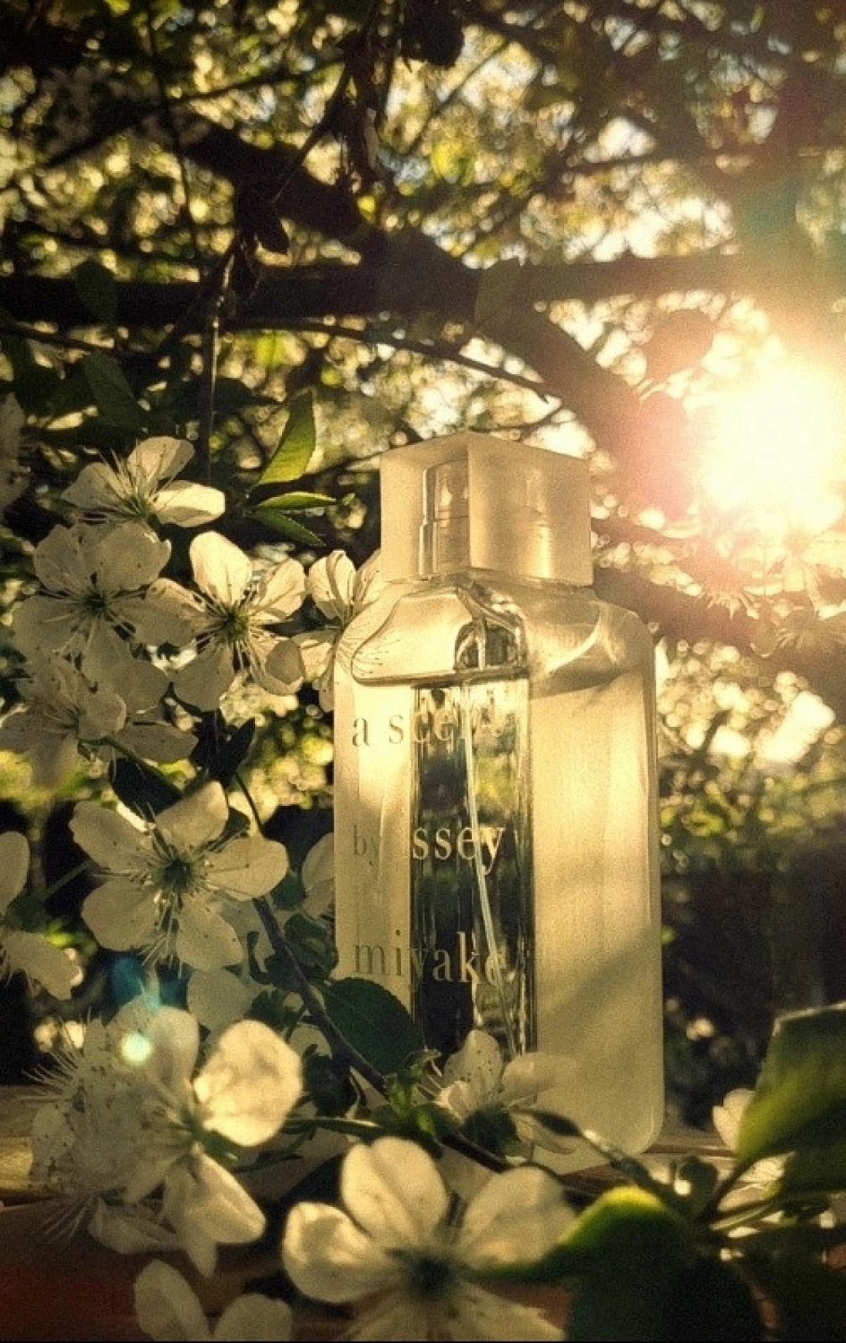 A Scent by Issey Miyake A Scent by Issey Miyake